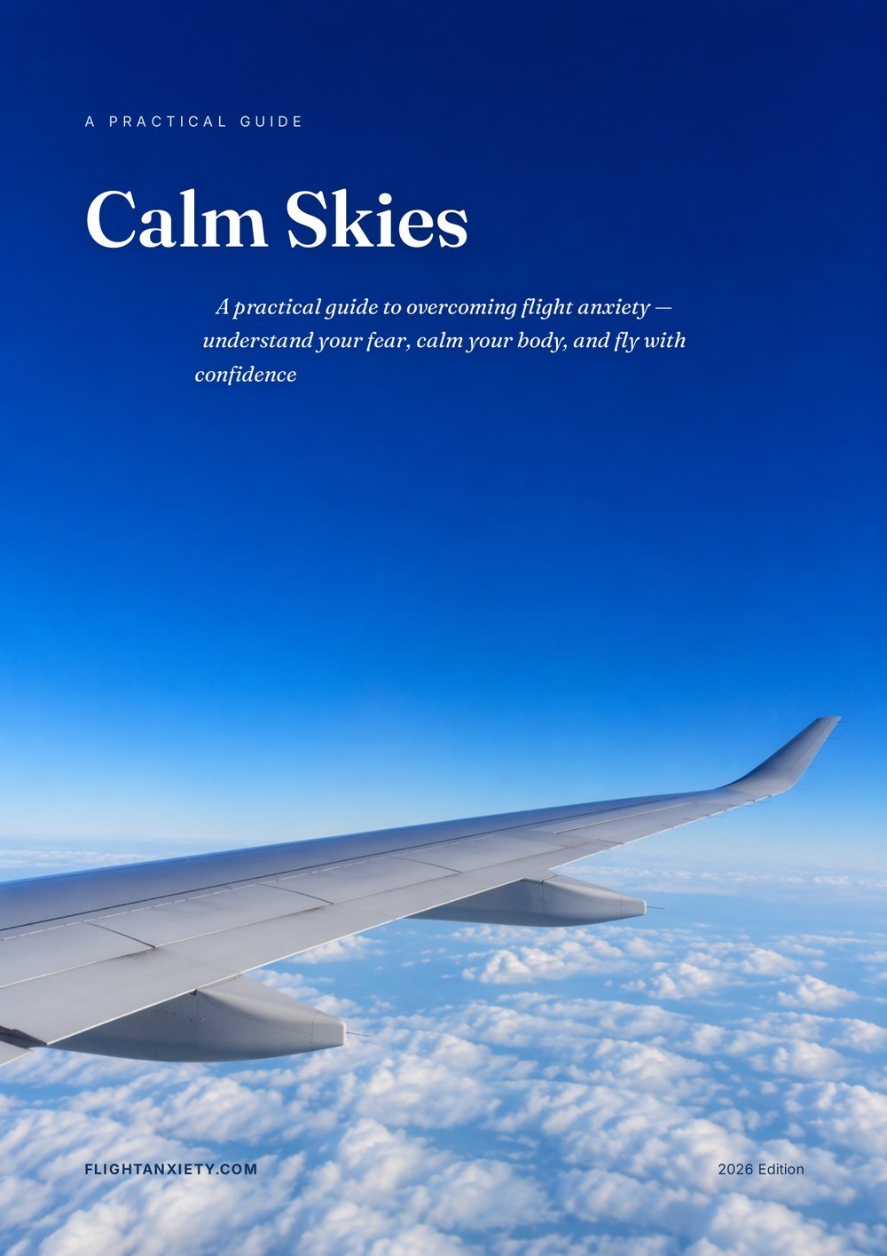 Calm Skies ebook cover — airplane wing above white clouds under a deep blue sky with the title Calm Skies